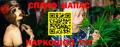 эйфоретик Гусь-Хрустальный