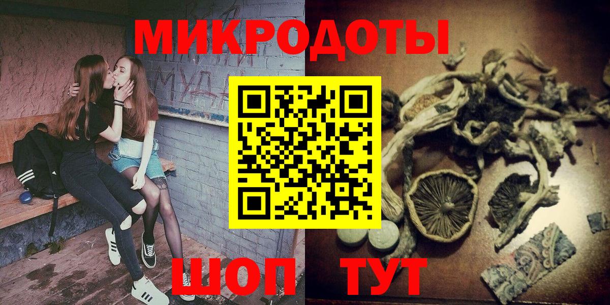 хочу наркоту  Псилоцибиновые грибы прущие грибы  Вход с VPN  Нальчик 
